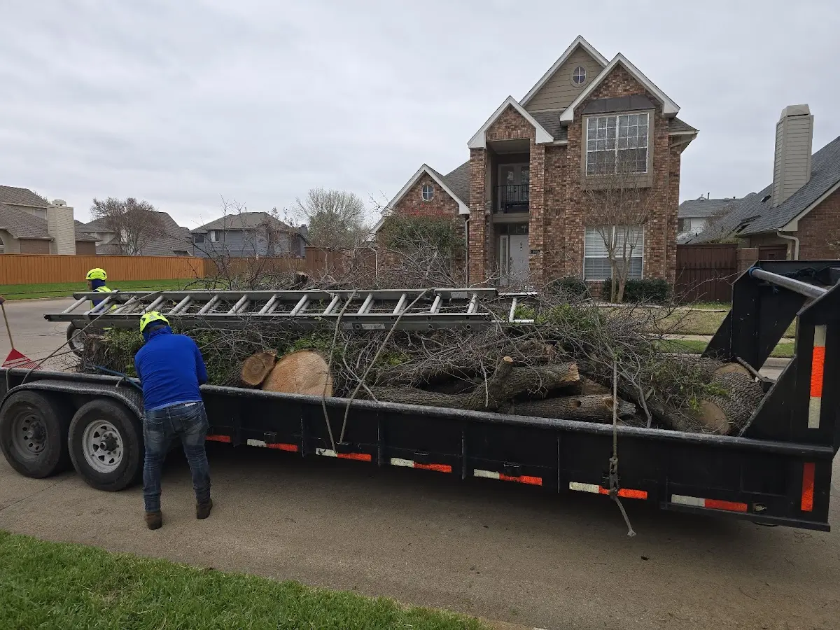 Expert Lot Clearing with proper safety equipment in Exton